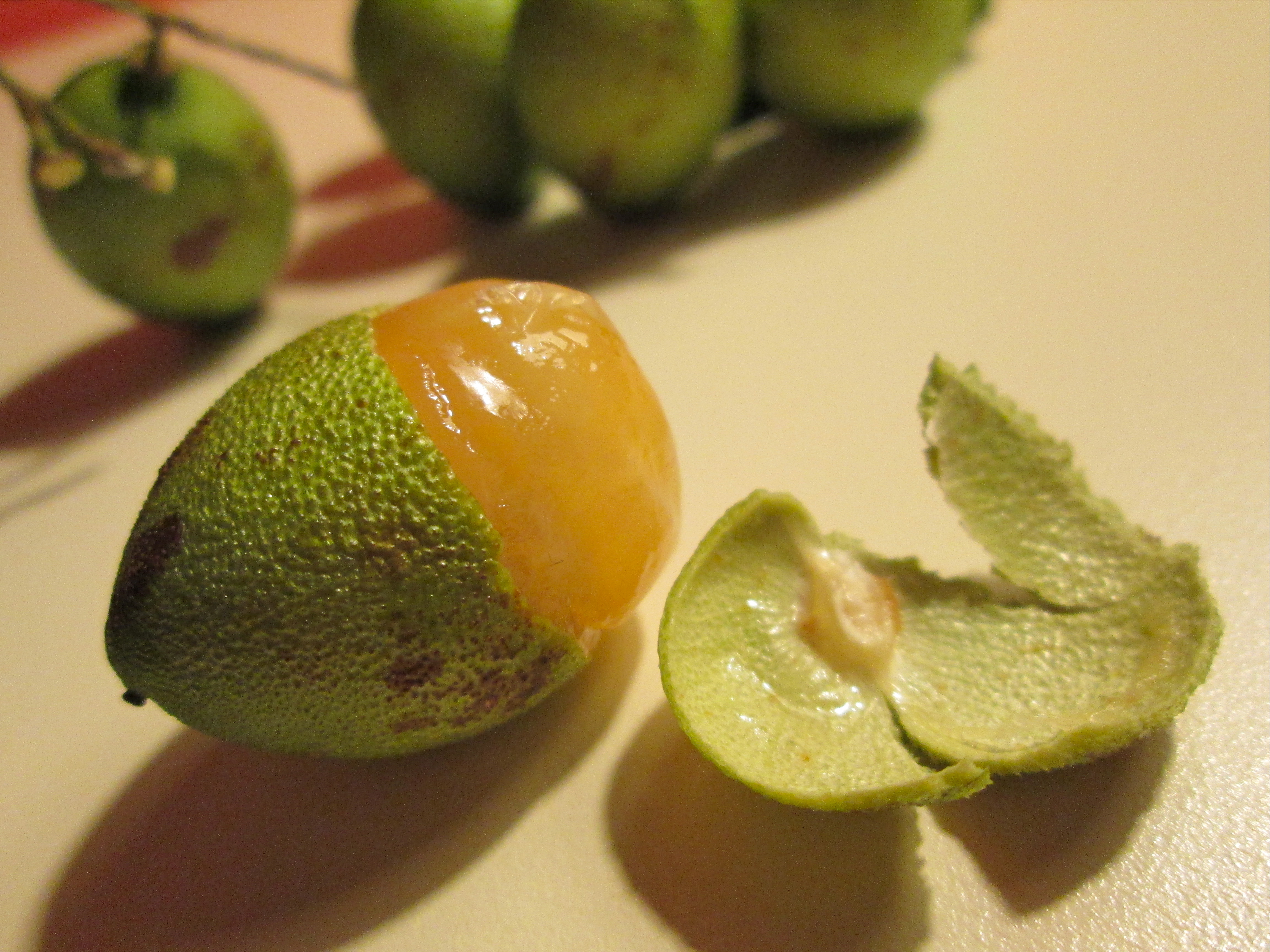 Желто зеленый фрукт. Киви маракуйя. Зеленый фрукт с косточкой. Зеленый экзотический фрукт. Маленький зеленый фрукт.